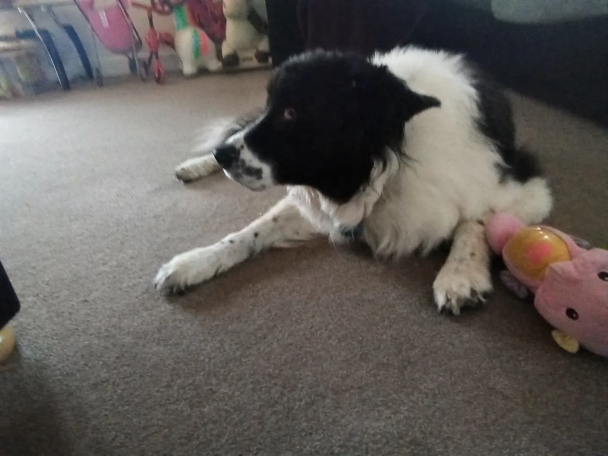 Zak, photo 2