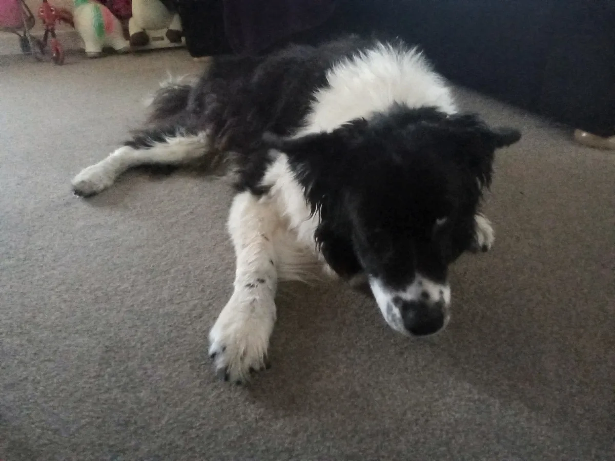 Zak, photo 3