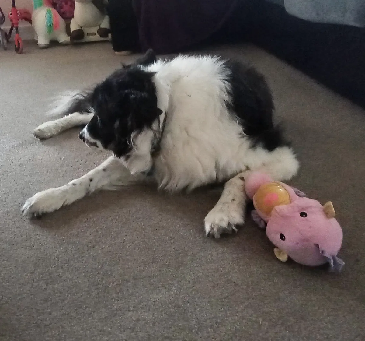 Zak, photo 4