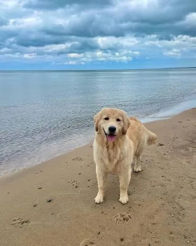 Coco, photo 5