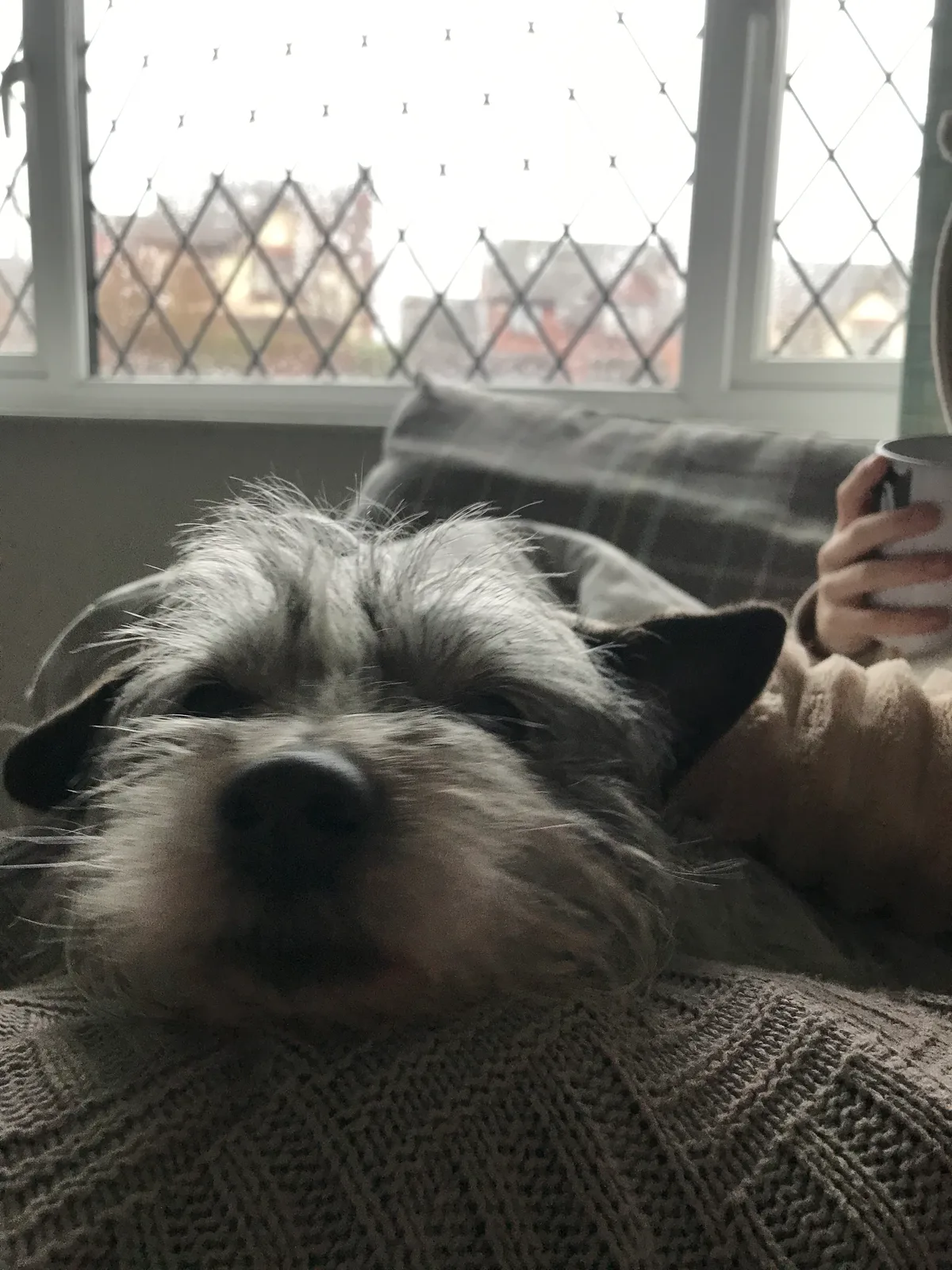 Hudson, photo 2