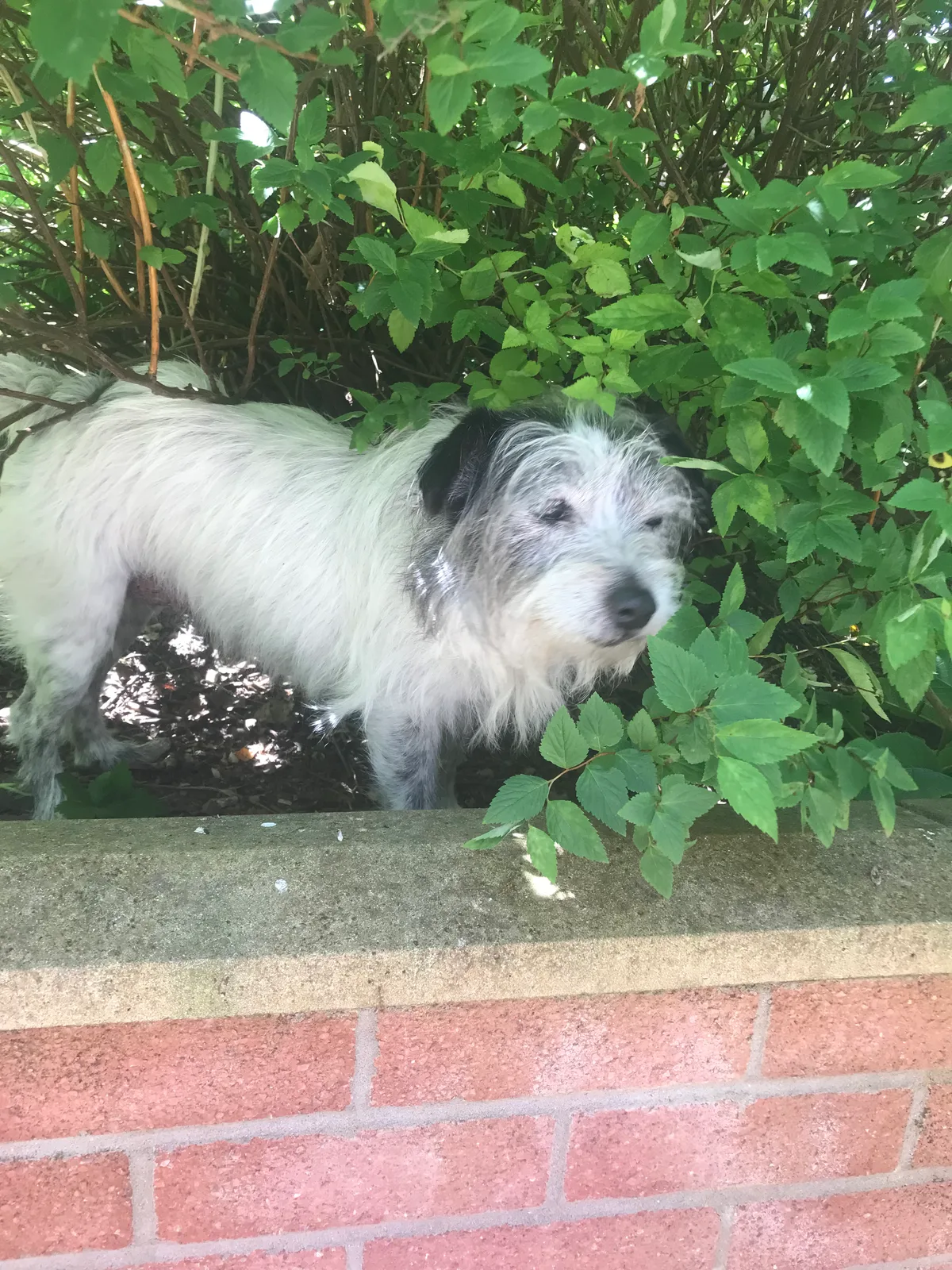 Hudson, photo 3