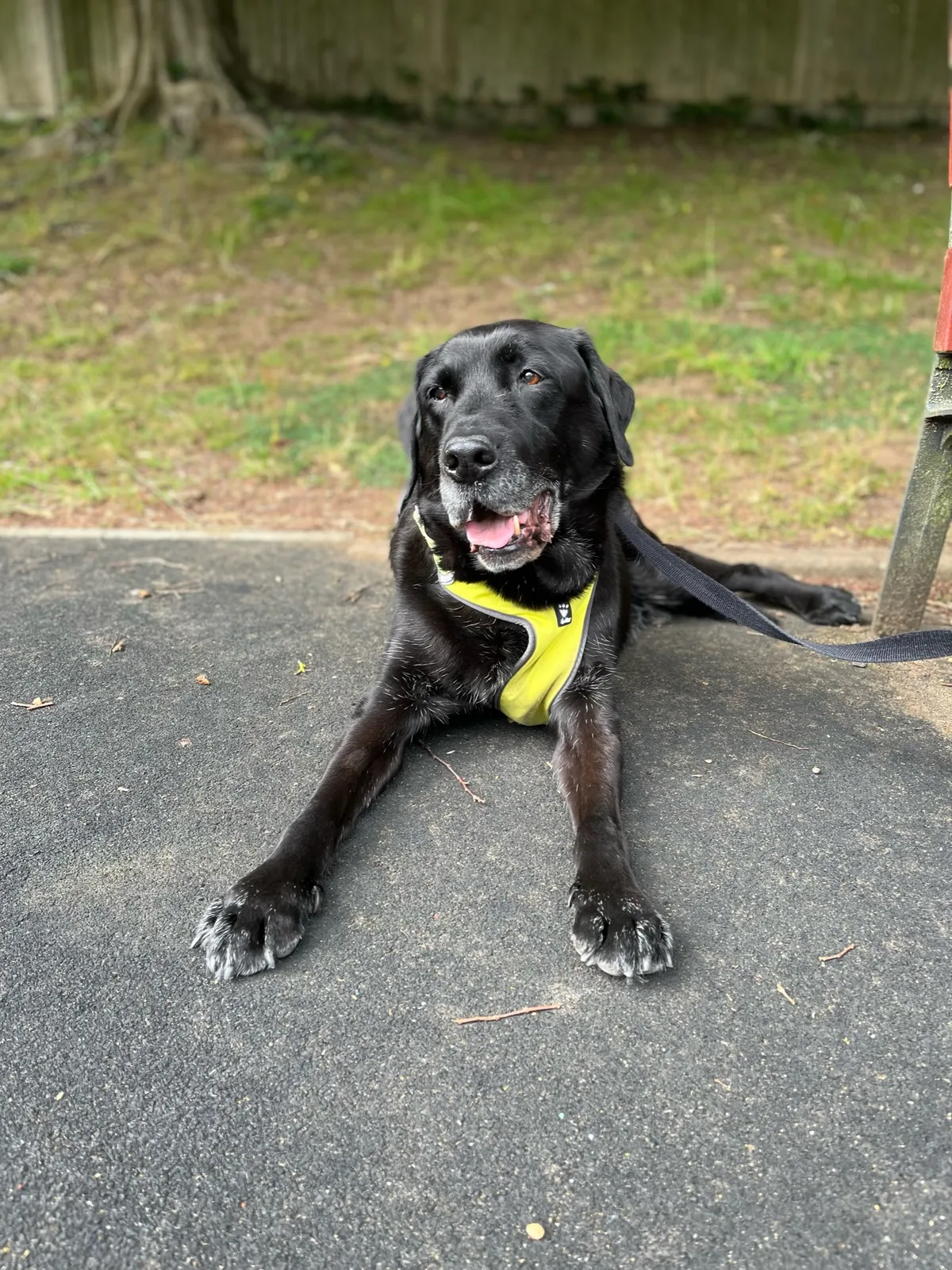 Oscar, photo 2