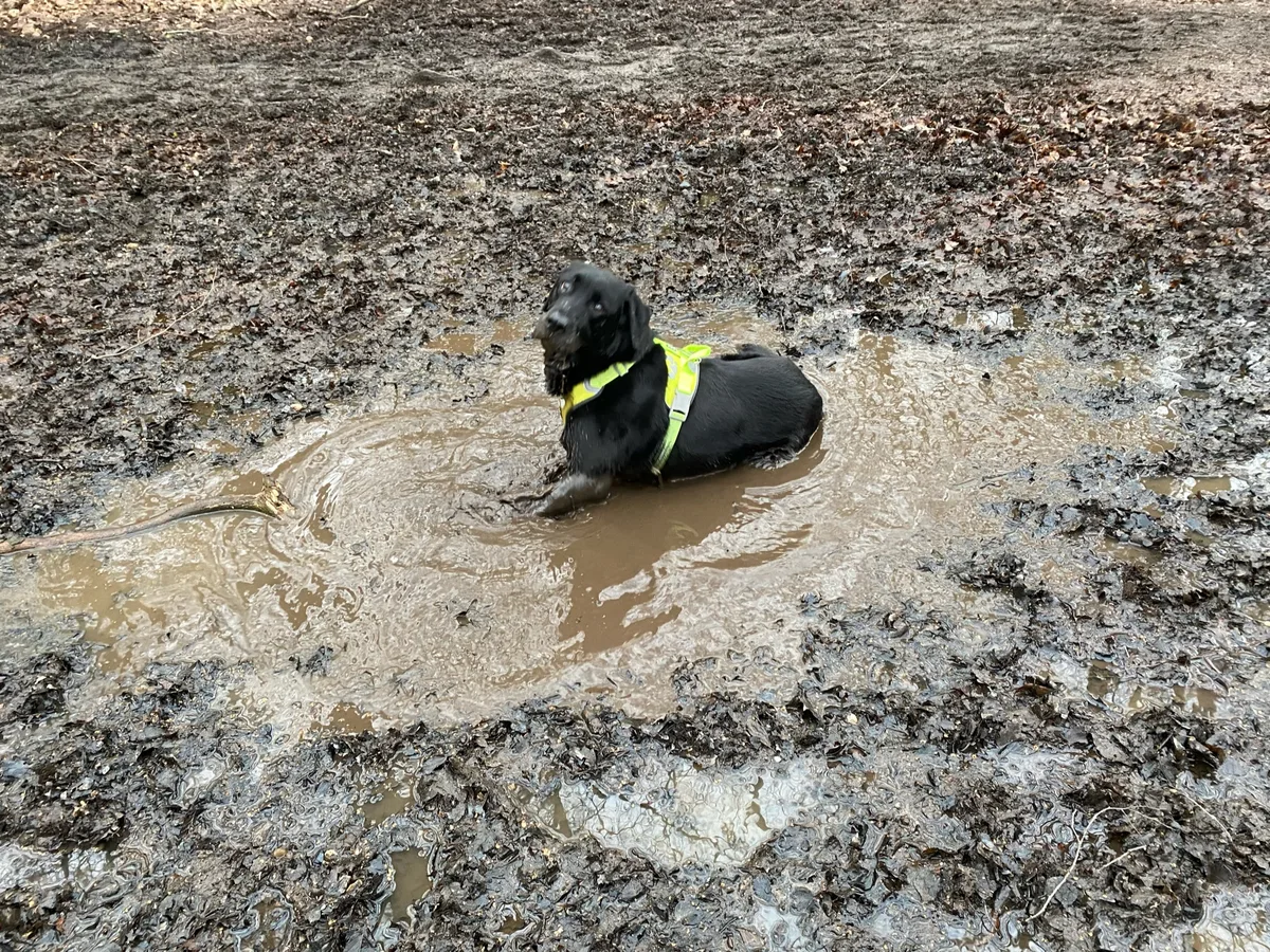 Oscar, photo 5