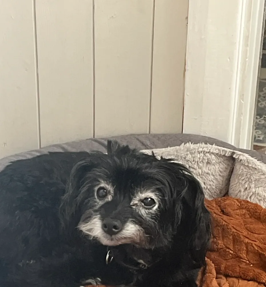 Portrait of Daisy