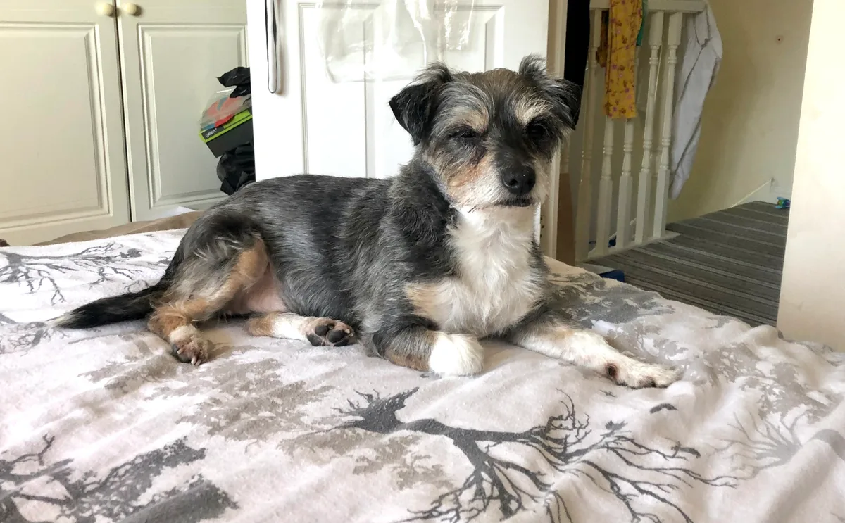 Pebbles, photo 3
