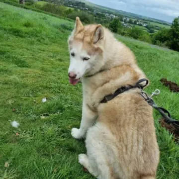 Photo of Lola