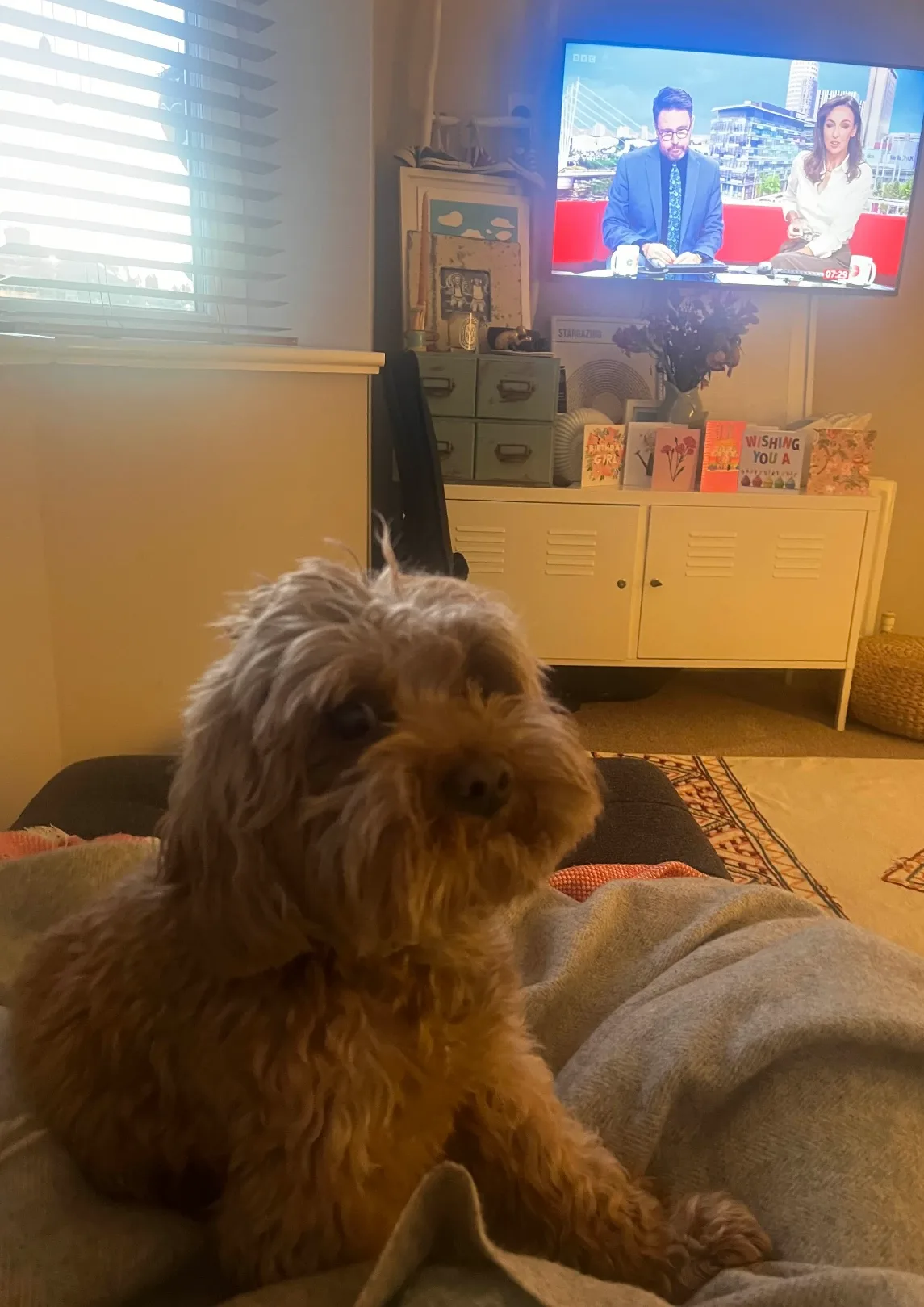 Kiko, photo 2