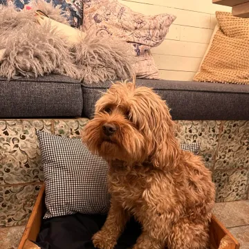 Photo of Kiko