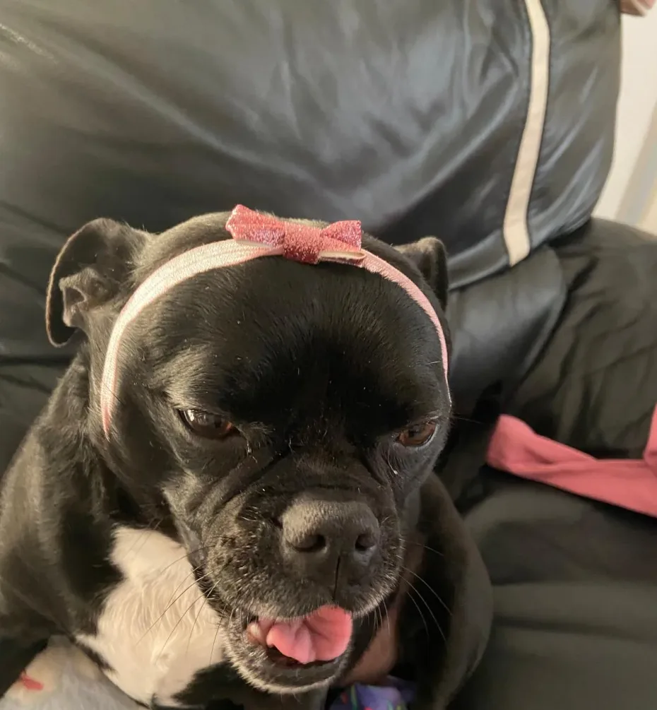 Portrait of Missy