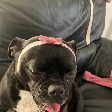 Photo of Missy