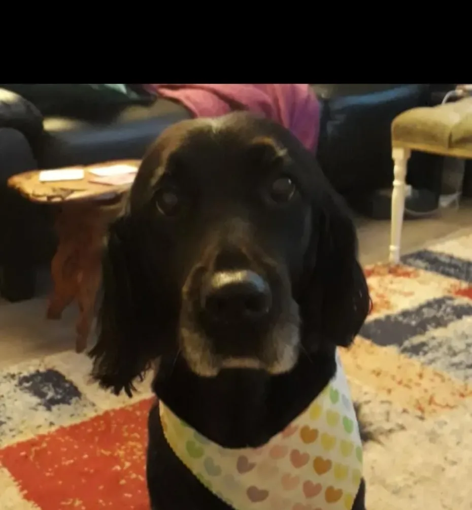 Portrait of Mojo