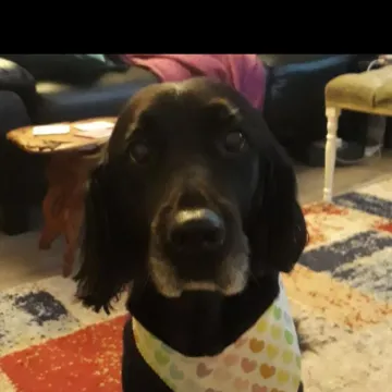 Photo of Mojo