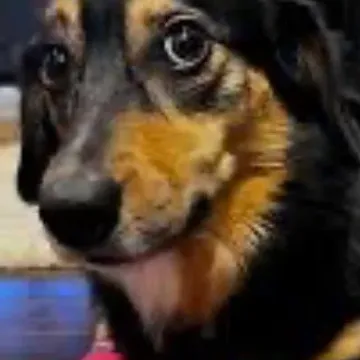 Photo of Bobby