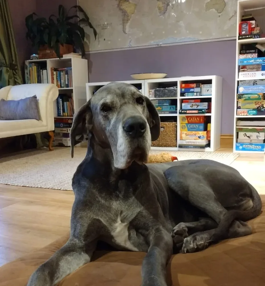 Portrait of Minnie