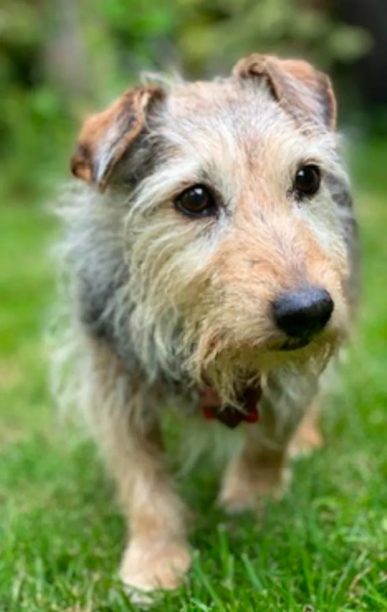 Marmite, photo 2