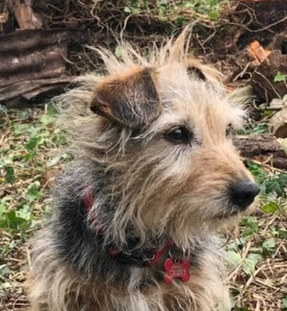 Portrait of Marmite