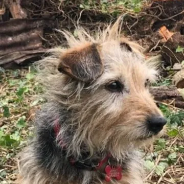 Photo of Marmite