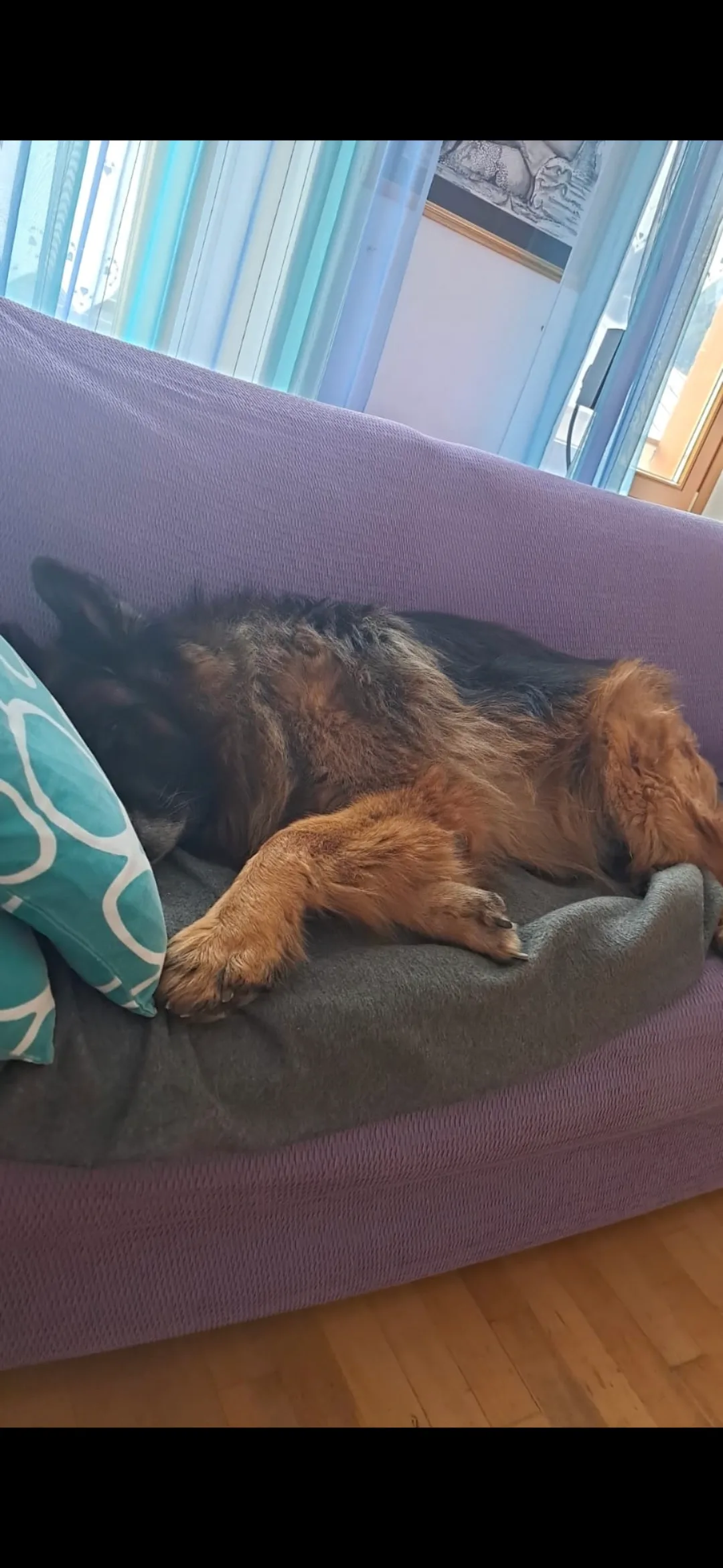 Axel, photo 2