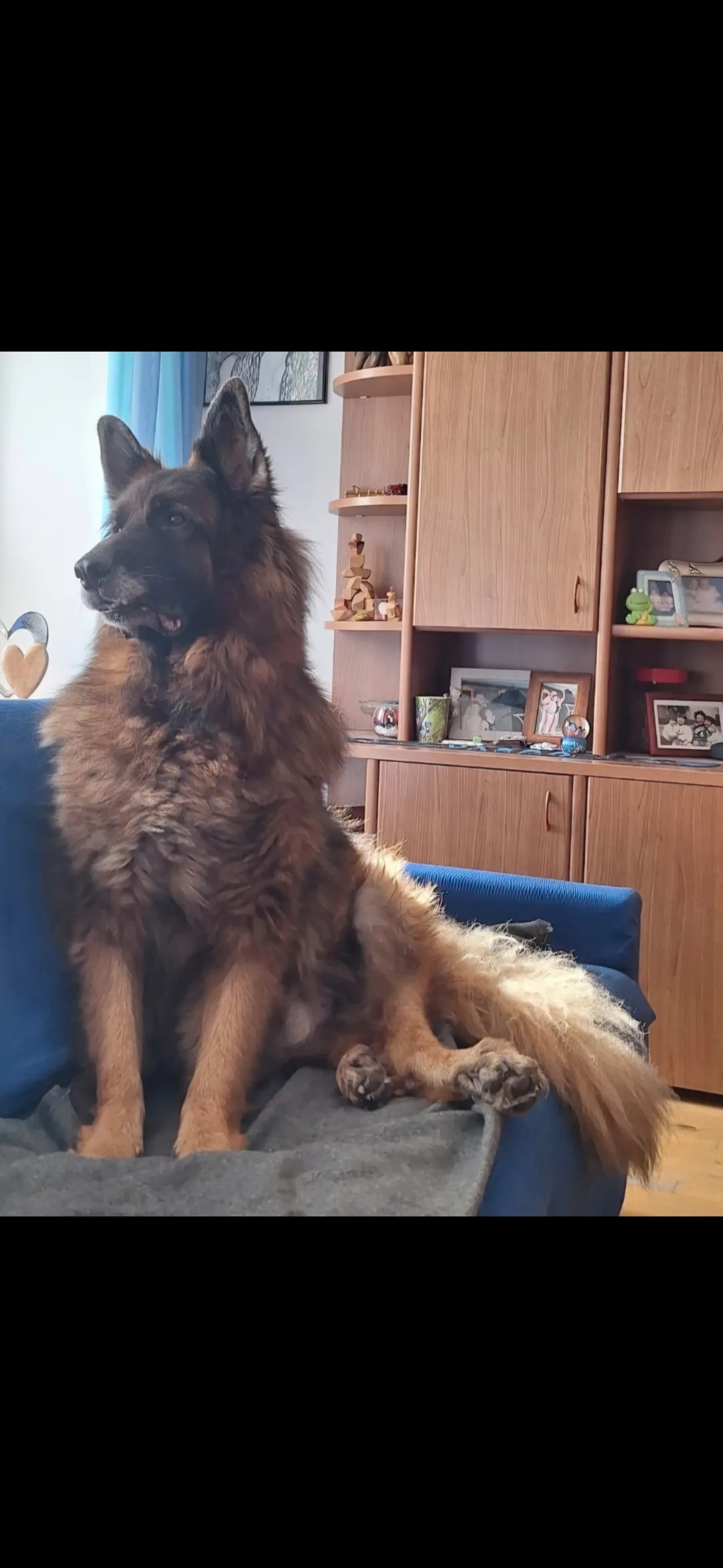 Axel, photo 3