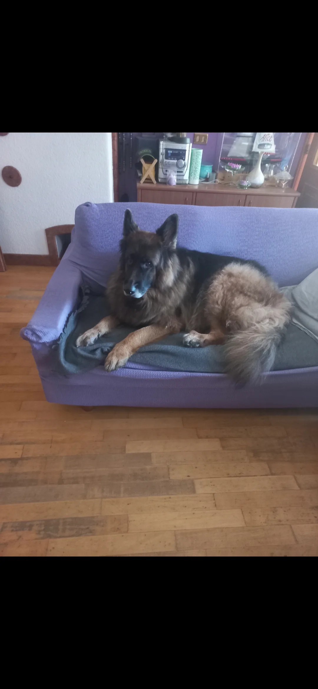 Axel, photo 4
