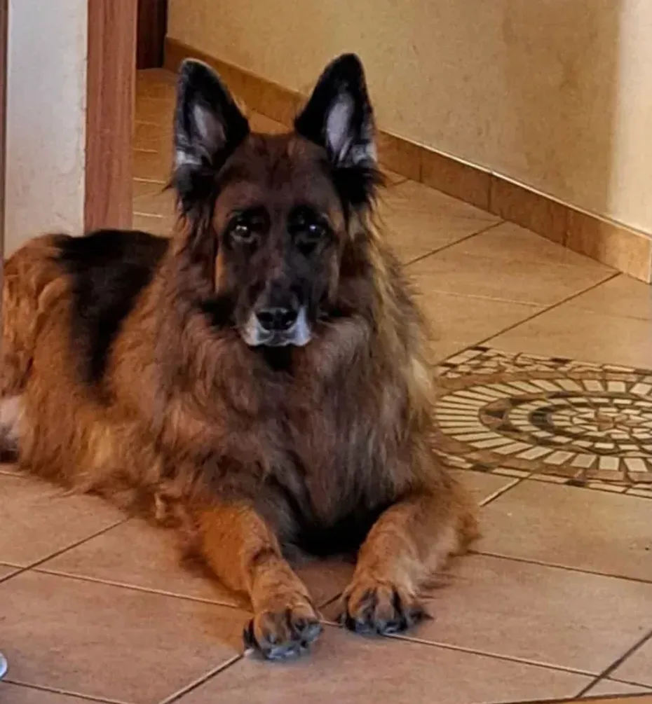 Portrait of Axel