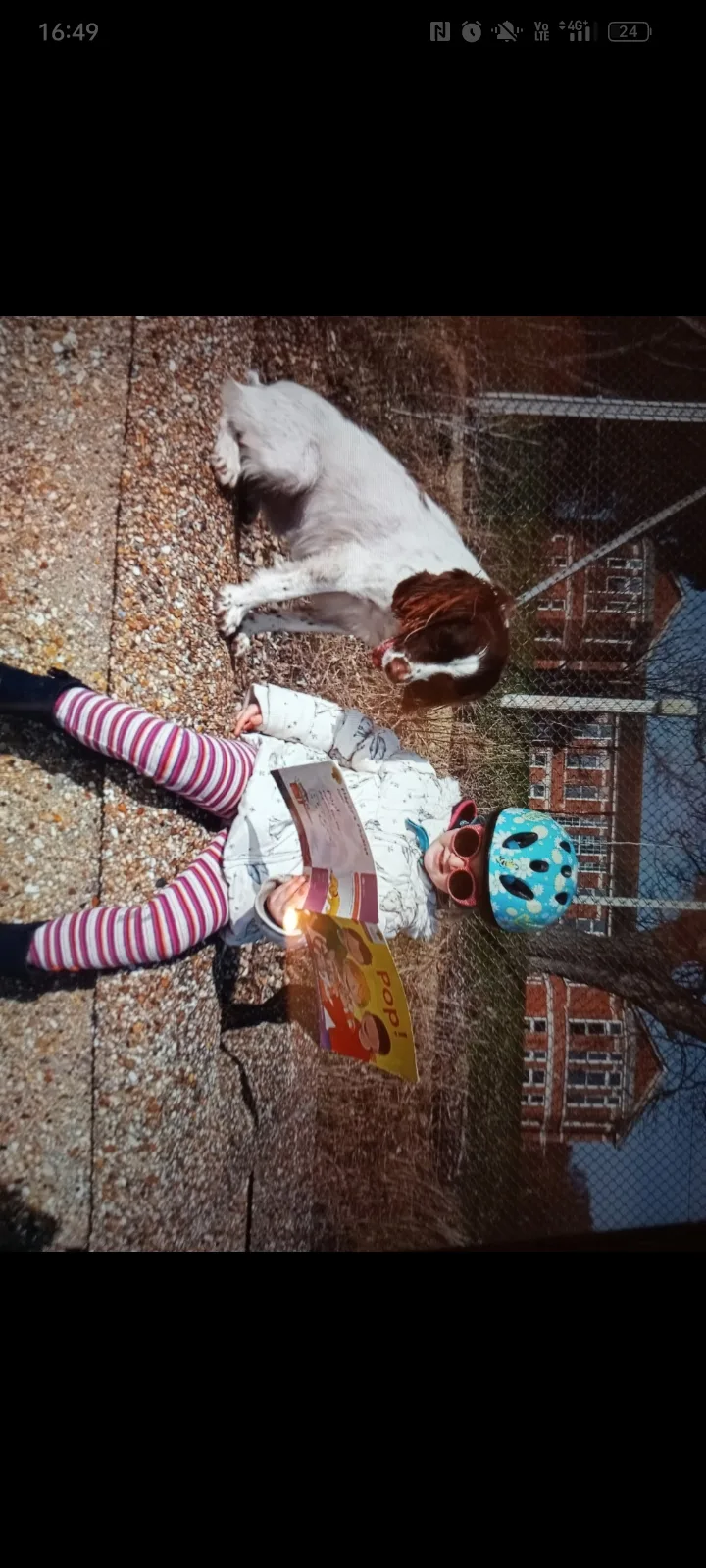 Nala, photo 2