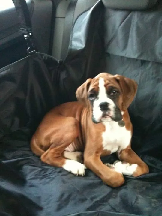 Stan, photo 2