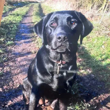 Photo of Dottie