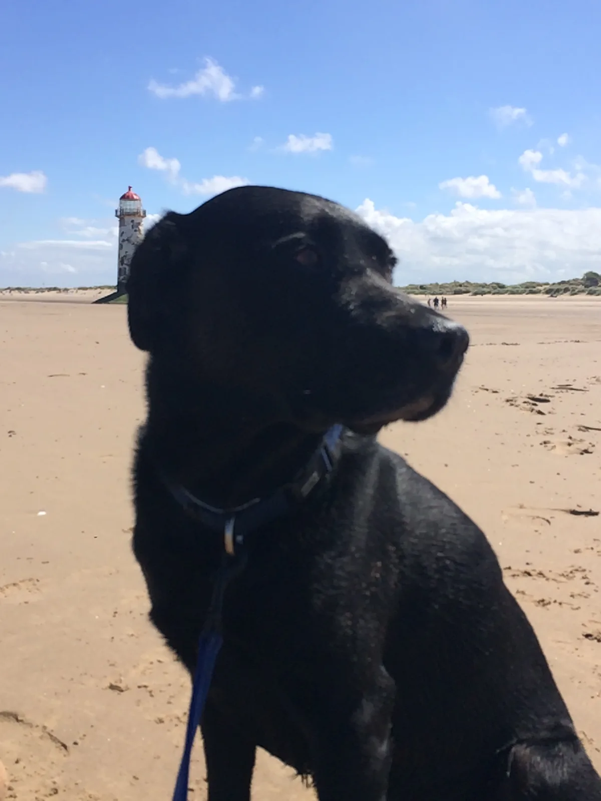 Jet, photo 5