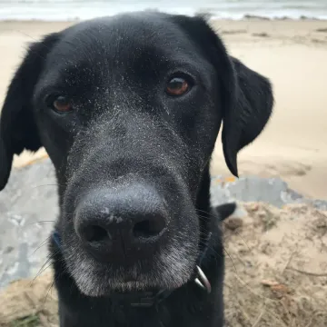 Photo of Jet