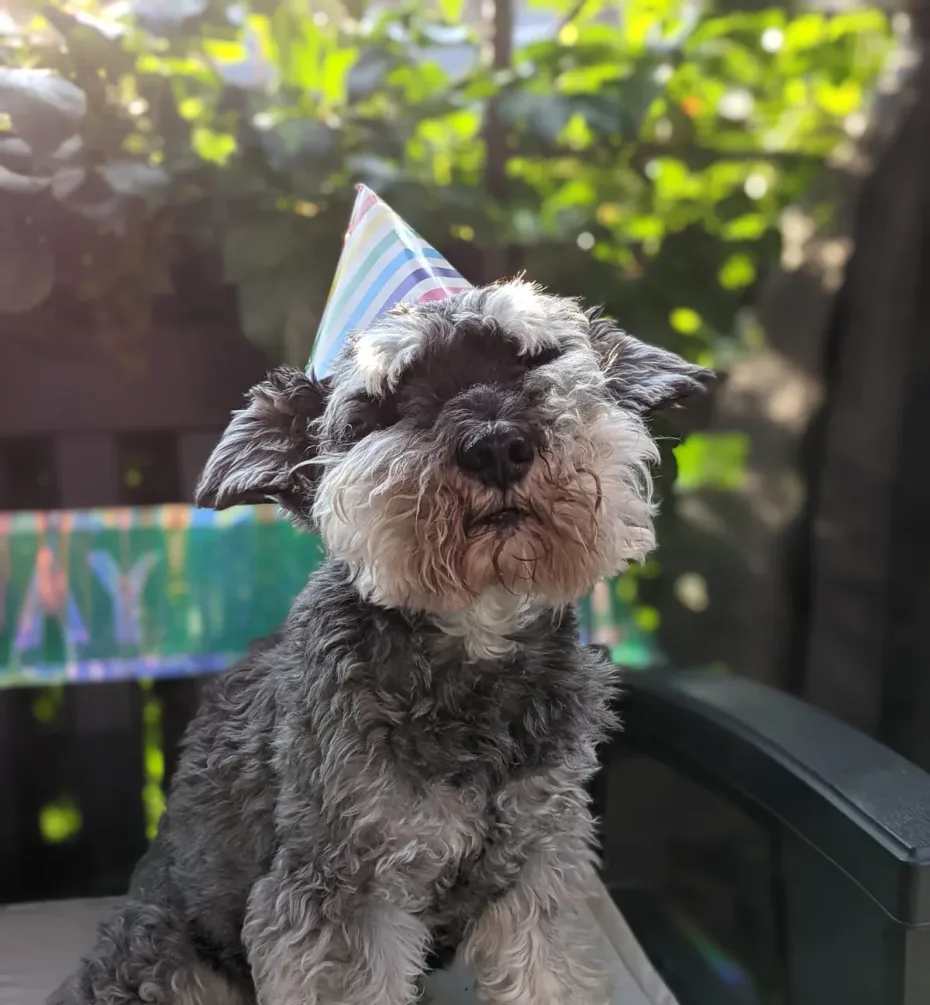 Portrait of Rufus