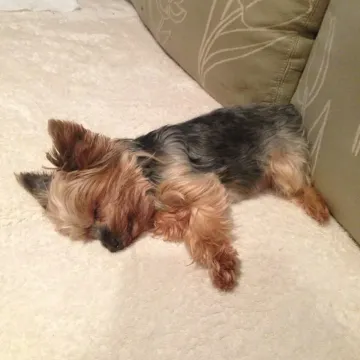 Photo of Minnie