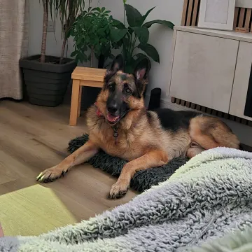 Photo of Jax