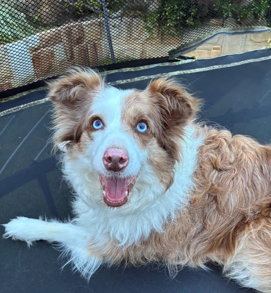 Portrait of Shelby
