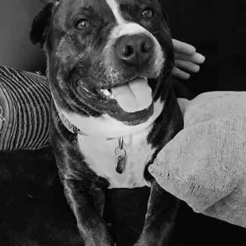 Photo of Mr Pinkles