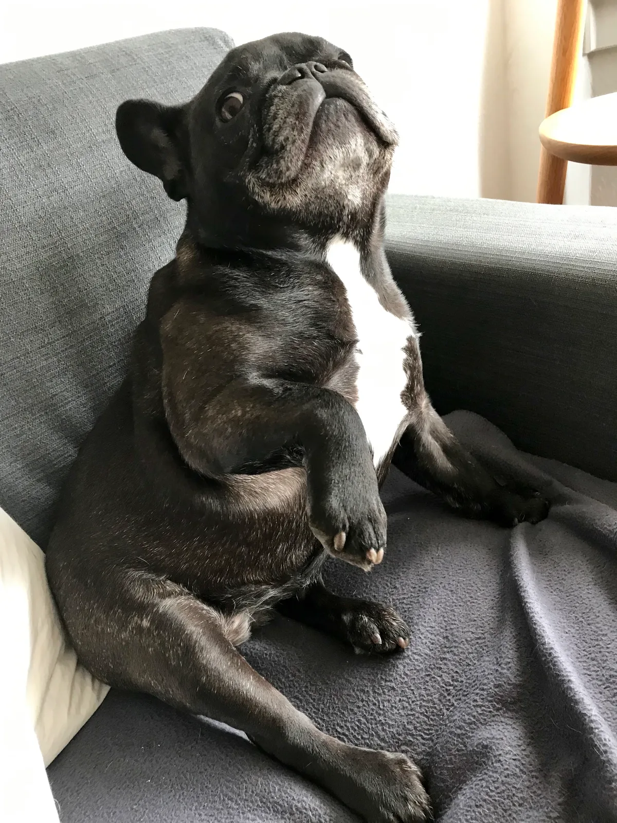 Winnie, photo 2