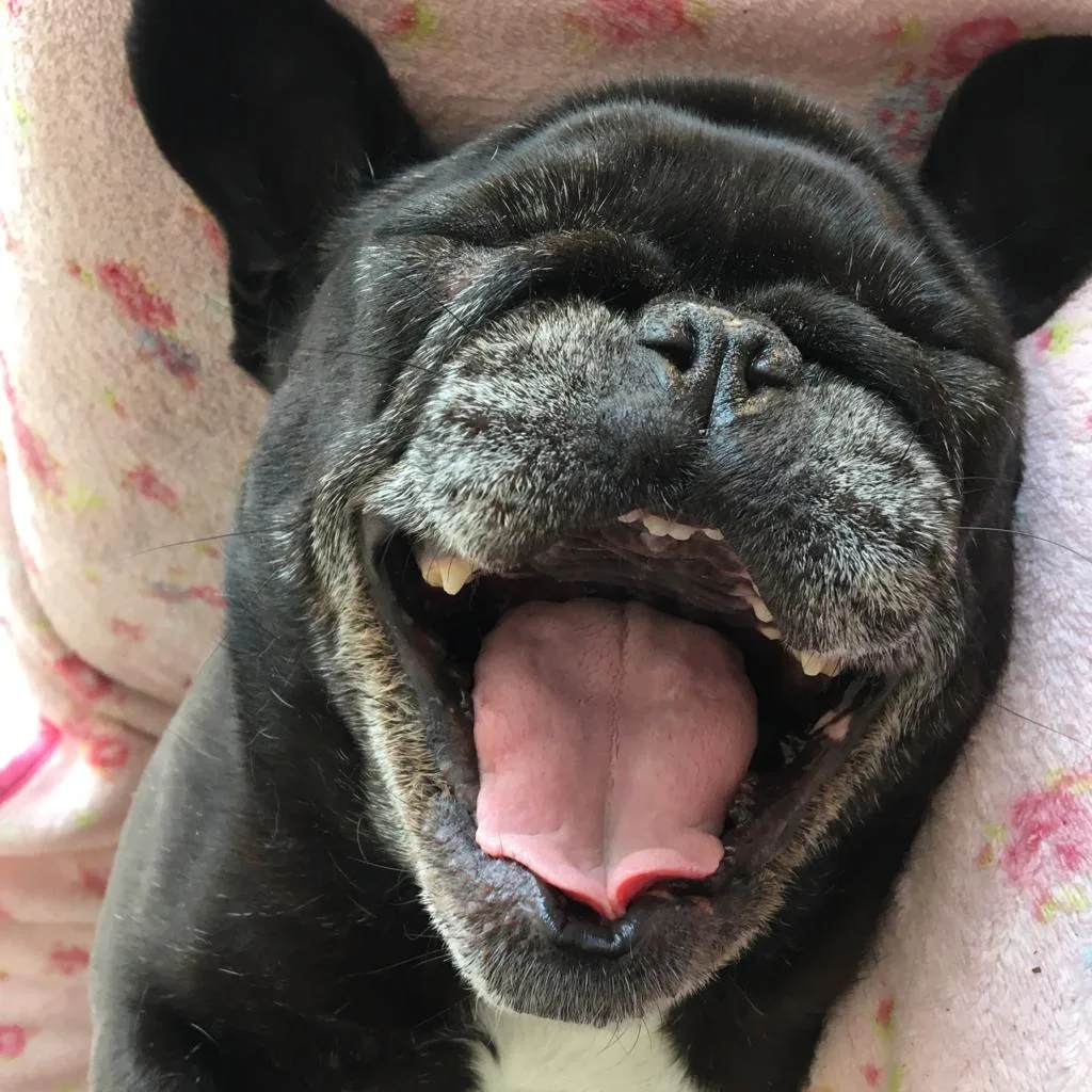 Winnie, photo 3
