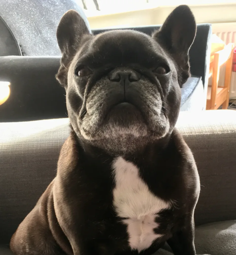 Portrait of Winnie