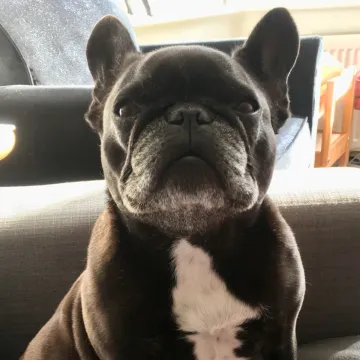 Photo of Winnie