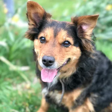Photo of Honey