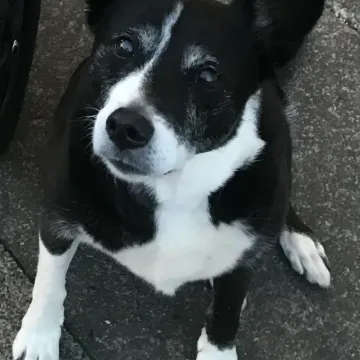 Photo of George