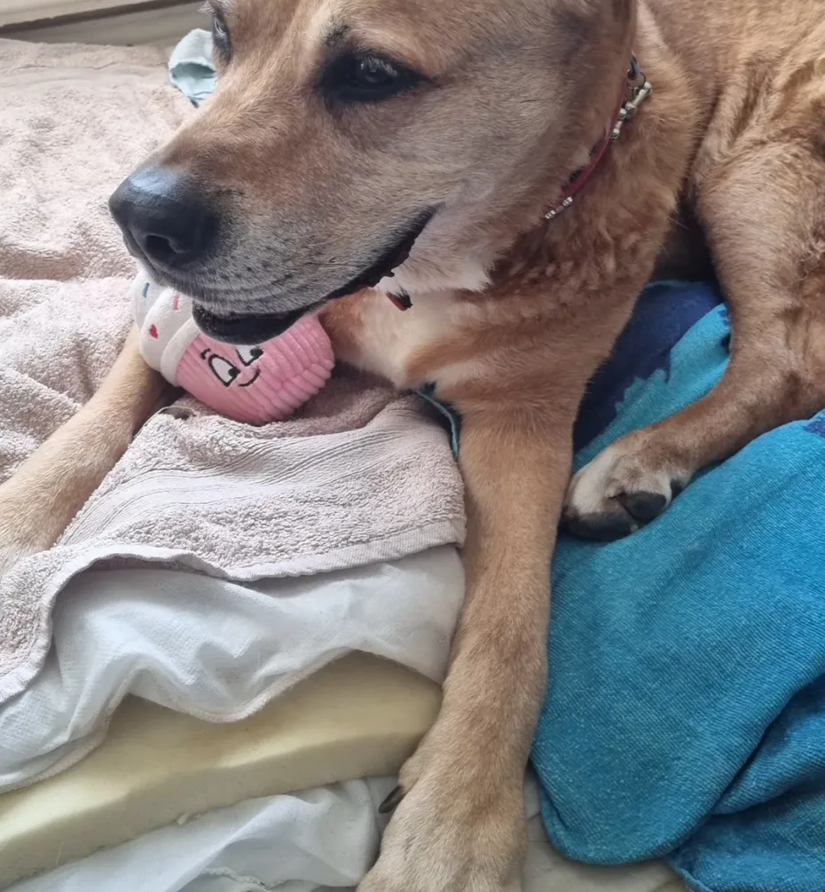 Portrait of Sandy