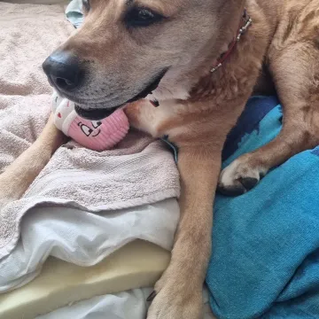 Photo of Sandy