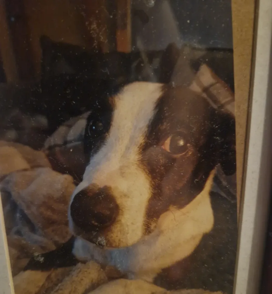 Portrait of Tilly