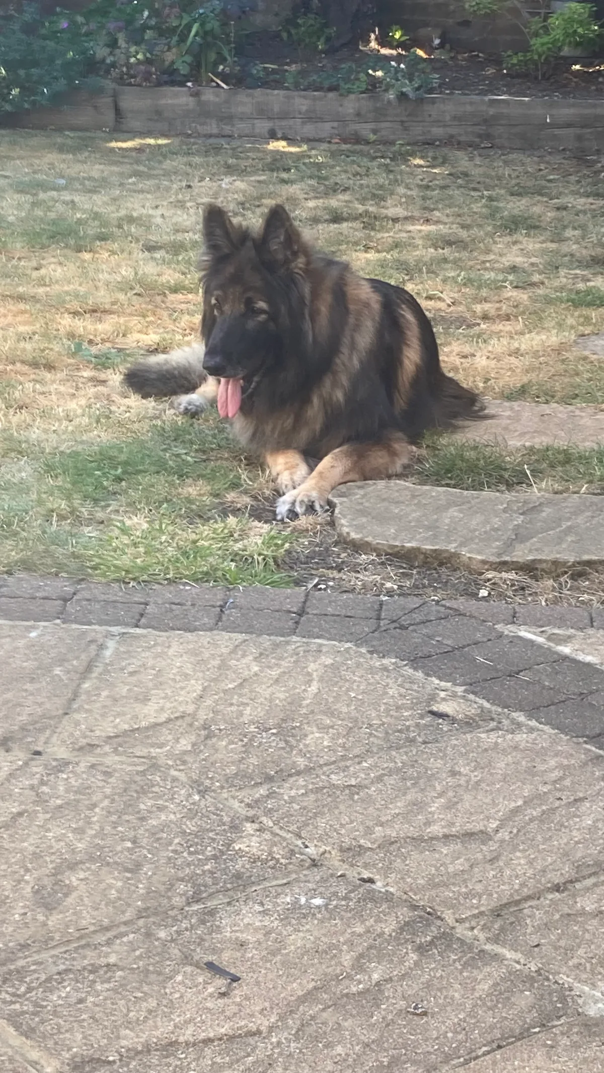 Skyla, photo 2