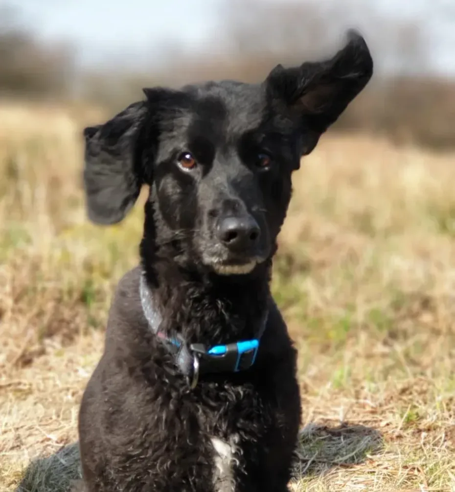 Portrait of Jack