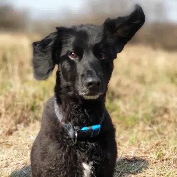 Photo of Jack