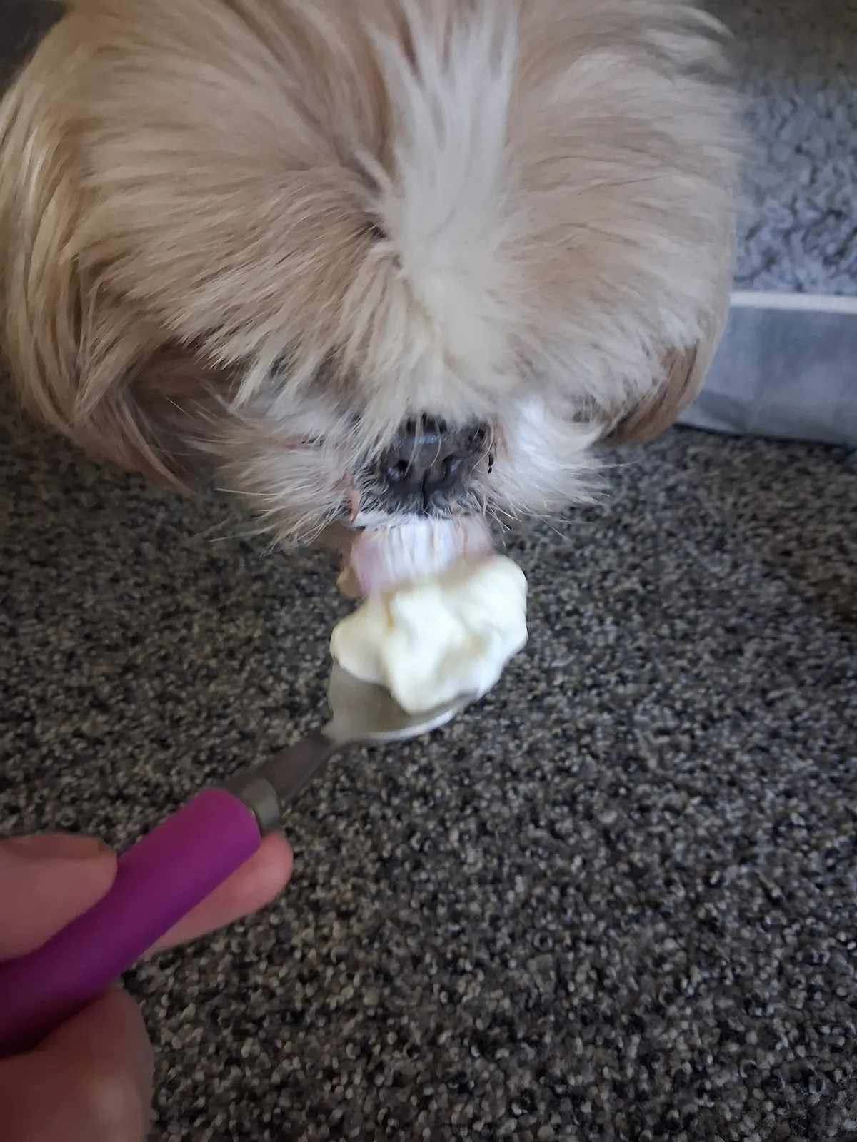 Lucy, photo 2
