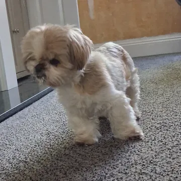 Photo of Lucy